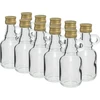 40 ml Gallonenflasche mit Schraubverschluss - 10 Stück - 4 