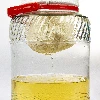 Filtration von Cuvées - 3 ['Maischefilter', ' Beutelfilter für Liköre', ' Beutelfilter', ' Filtern von Wein', ' wie filtere ich Wein', ' Filtern von hausgemachtem Wein']