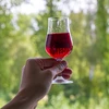 Klarowin 10 g - für Weiß- und Roséweine - 3 ['Weinklärmittel', ' Klärmittel', ' Klarowin für Wein', ' zum Klären von Wein', ' Zubehör für die Weinbereitung', ' hausgemachter Wein ']