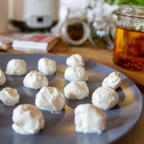 Bakterienkulturen für Joghurt - 4 ['zu Hause bleiben', ' Joghurtkulturen', ' Bakterienkulturen für Joghurt', ' wie man Joghurt macht', ' glutenfreie Ernährung', ' Bakterien', ' Starterkulturen']