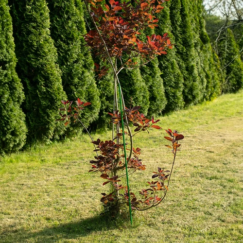 Beschichtete Stahlstange PE 1,5  m x 11 mm - 5 ['Gartenstange', ' Stange für Pflanzen', ' Stütze für Pflanzen', ' Stütze für Rankenpflanzen', ' Stützen für Rankenblumen', ' Metallstützen für Blumen', ' beschichtete Stützen für Blumen', ' beschichtete Metallstützen', ' Pflanzenstütze beschichtet']