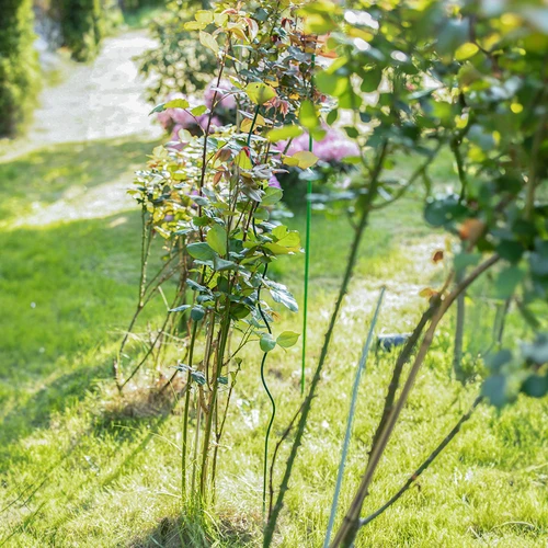 Beschichtete Stahlstange PE 1,75 m x 11 mm - 7 ['Gartenstange', ' Stange für Pflanzen', ' Stütze für Pflanzen', ' Stütze für Rankenpflanzen', ' Stützen für Rankenblumen', ' Metallstützen für Blumen', ' beschichtete Stützen für Blumen', ' beschichtete Metallstützen', ' Pflanzenstütze beschichtet']