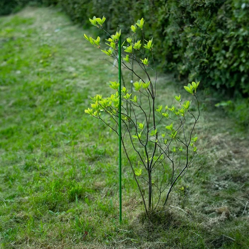 Beschichtete Stahlstange PE 1 m x 8 mm - 6 ['Gartenstange', ' Stange für Pflanzen', ' Stütze für Pflanzen', ' Stütze für Rankenpflanzen', ' Stützen für Rankenblumen', ' Metallstützen für Blumen', ' beschichtete Stützen für Blumen', ' beschichtete Metallstützen', ' Pflanzenstütze beschichtet']