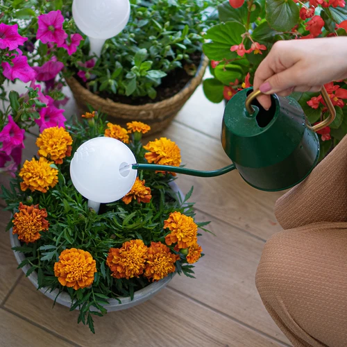 Bewässerungskugeln für Pflanzen, weiß, halbtransparent, mit Stöpsel, 400ml, 4 St. - 10 ['Bewässerungskugeln', ' Dosierer für die Bewässerung von Blumen', ' zum Gießen von Blumen', ' Feuchtigkeitsspender für Blumen', ' Bewässerung von Blumen', ' Bewässerung von Pflanzen', ' Bewässerer für Blumentöpfe mit Stöpsel', ' für Topfpflanzen', ' Bewässerungssystem', ' Bewässerungskugel', ' Wasserdosierer für Blumentöpfe', ' Kugeln für Pflanzen', ' Dosierer für Pflanzen', ' Gießen von Pflanzen', ' Bewässerungskugeln von oben befüllt', ' Bewässerungskugeln mit Stöpsel', ' Bewässerungskugeln', ' weiß', ' halbtransparent', '']