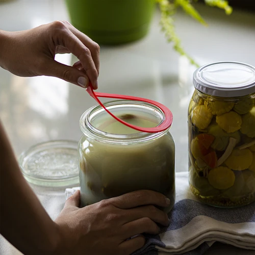 Federn + Dichtungen für Weck-Gläser - 10 Stck. - 3 ['Dichtungen für Gläser', ' Gummidichtungen für Gläser', ' Dichtung für Flasche', ' Zubehör für Gläser', ' für Gläser', ' Dichtungen für Gläser']