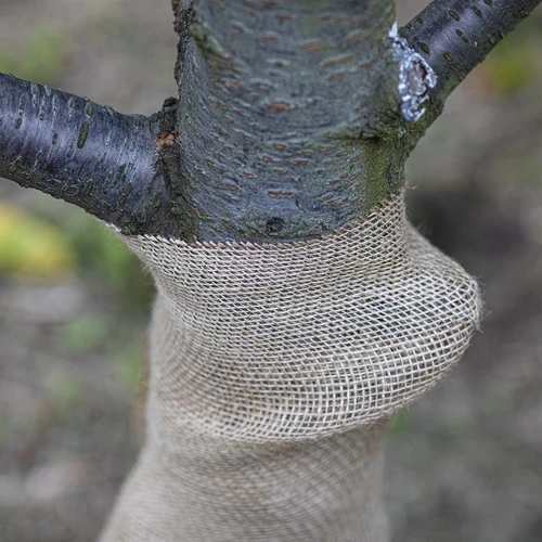 Juteband 10 cm / 5 m - 7 ['Band aus Jute', ' Juteband', ' Band für Tomaten', ' Band für Gurken', ' natürliches Band', ' Öko-Band', ' Band zum Binden', ' Band zum Basteln']