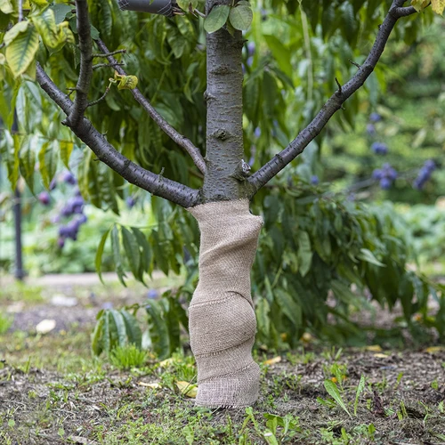 Jutegewebe 20 cm / 5 m - 5 ['Gewebe aus Jute', ' Jutegewebe', ' Gewebe zum Schutz von Bäumen', ' natürliches Jutegewebe', ' Jute-Ökotextil', ' Gewebe zum Binden', ' Gewebe zum Basteln']