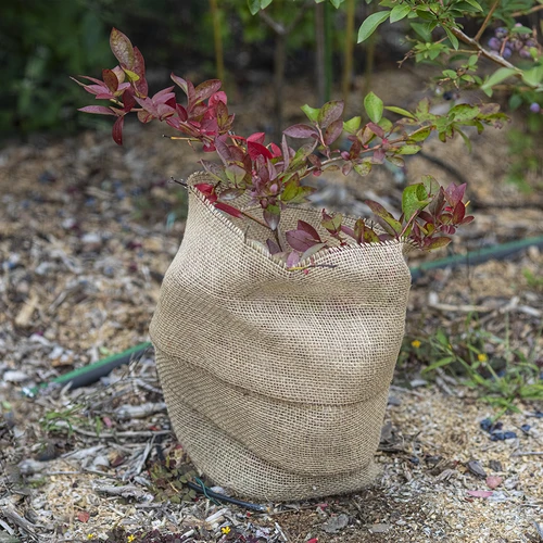 Jutegewebe 20 cm / 5 m - 6 ['Gewebe aus Jute', ' Jutegewebe', ' Gewebe zum Schutz von Bäumen', ' natürliches Jutegewebe', ' Jute-Ökotextil', ' Gewebe zum Binden', ' Gewebe zum Basteln']