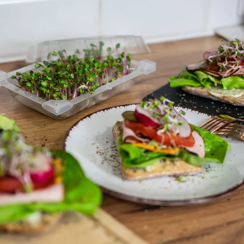 Keimgerät Grünes Schöpfchen + Radieschensamen - 10 ['keimglas für sprossen', ' sprossen keimglas', ' sprossen ziehen', ' sprouting kit', ' keimglas für sprossen keimlinge', ' keimgerät für sprossen', ' keimgläser für sprossenzucht', ' brokkoli sprossen', ' sprossen keimgerätm', ' keimsprossenbox', ' keimgerät']