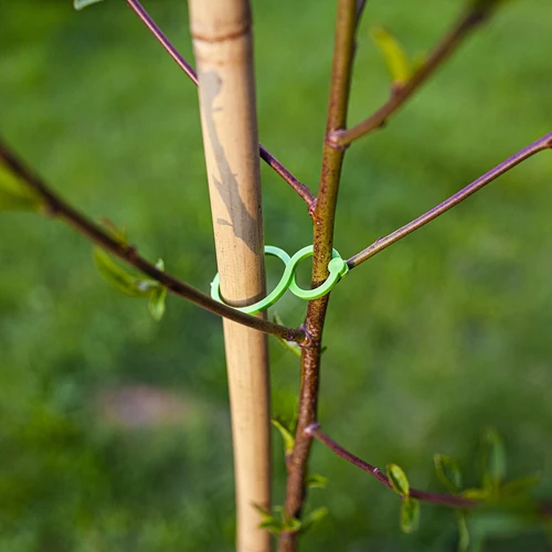 Plastikspangen zum Zusammenbinden von Pflanzen - 50 Stück, Mix aus 2 Arten - 6 ['Pflanzenschilder', ' Schilder für das Beschreiben von Pflanzen', ' für das Beschreiben von Pflanzen', ' Informationsschilder für Pflanzen']