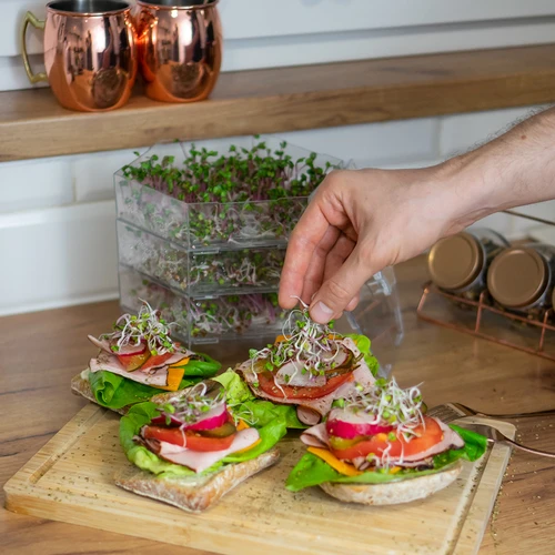 Sauberes Früchtchen - das Keimgerät + Radieschensamen - 14 ['gesunde Sprossen', ' Sprossen zu Hause angebaut', ' Sprossen veganes Produkt', ' Sprossen zu Hause wachsen', ' Rettichsprossen', ' Sprossen wachsen', ' Rettichsamen', ' Samen Sprouter Kit']