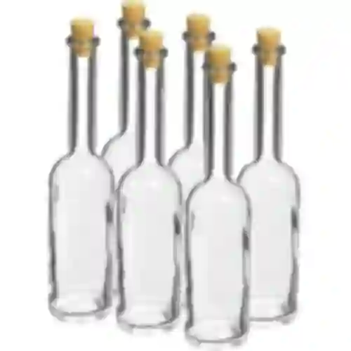 Tinktur-Flasche von 100 ml 6-tlg. + 6 Stecker KK14